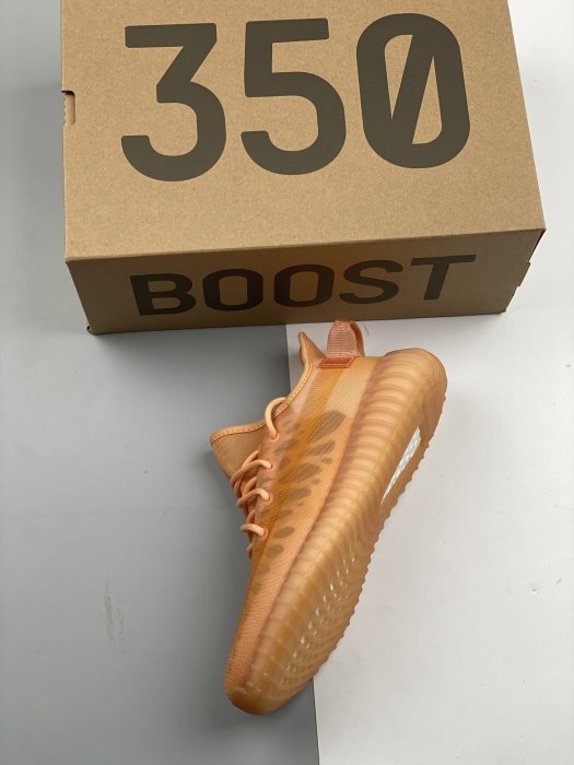 Sneakers Yeezy 350 Boost V2 Mono Clay фото 3