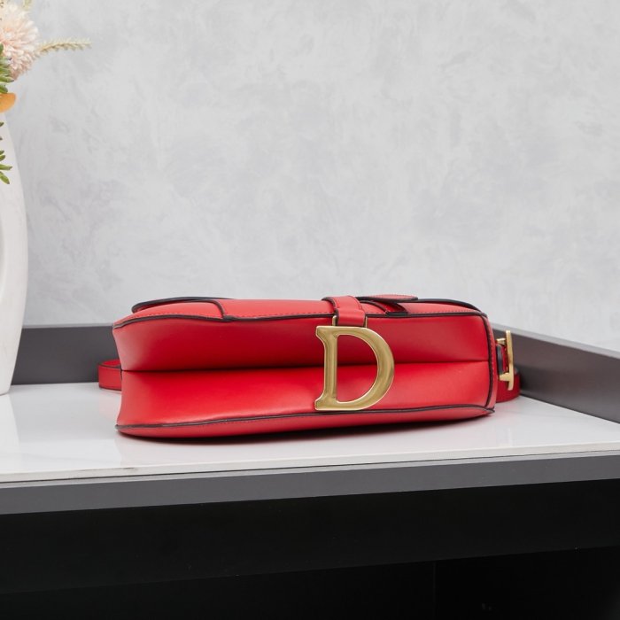 Сумка кожаная женская Dior Saddle 24 см фото 6