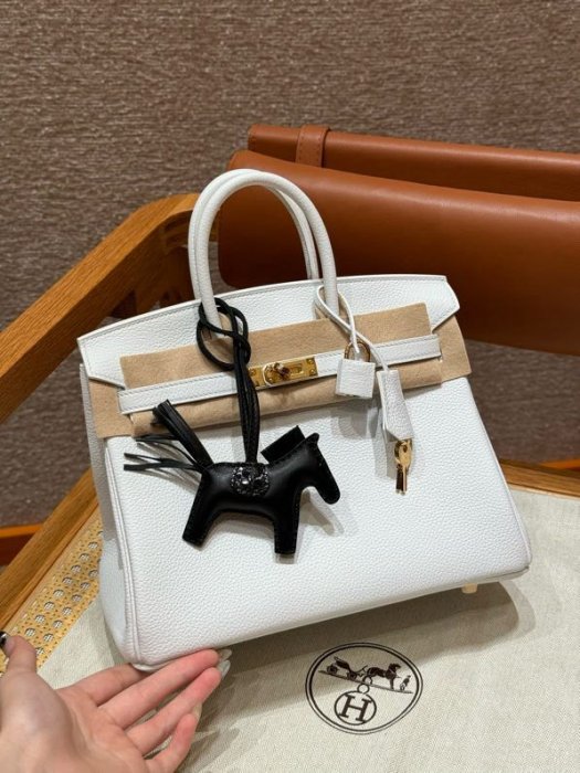 Hermes birkin 25 price best sale