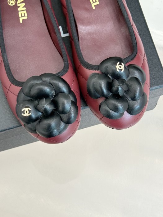 Балетки фото 7