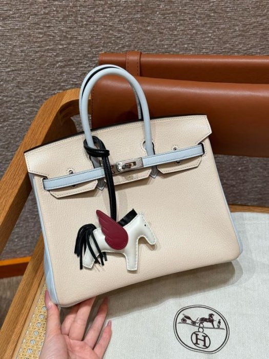 A bag women's Birkin 25 cm