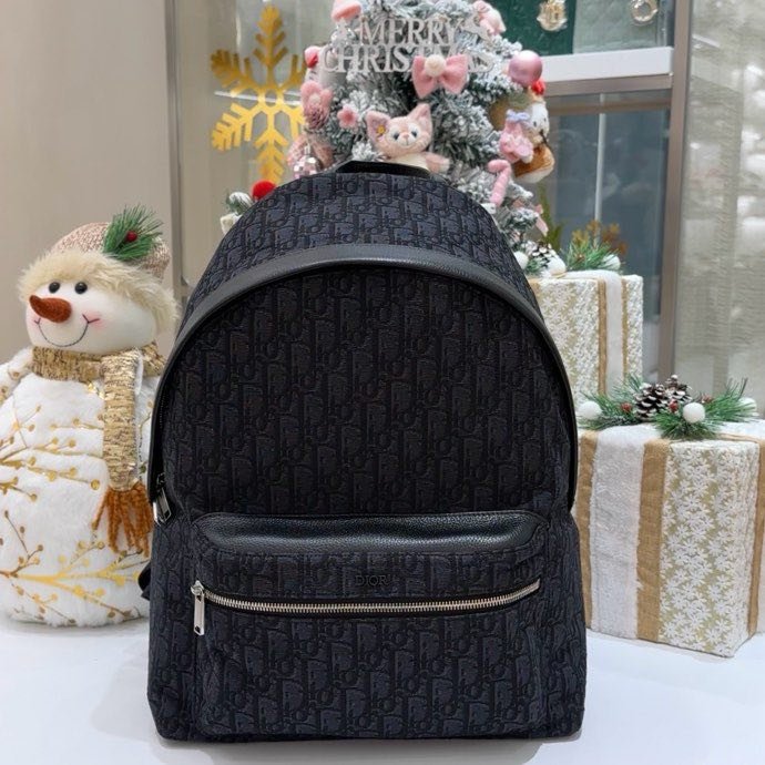 Backpack Rider Dior Oblique 30 cm