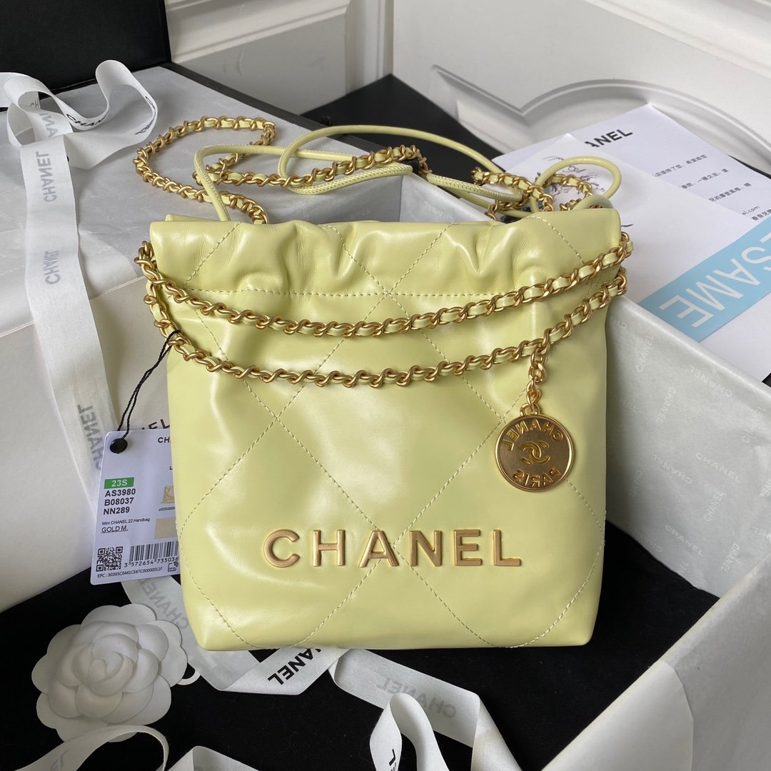 A bag CHANEL 22