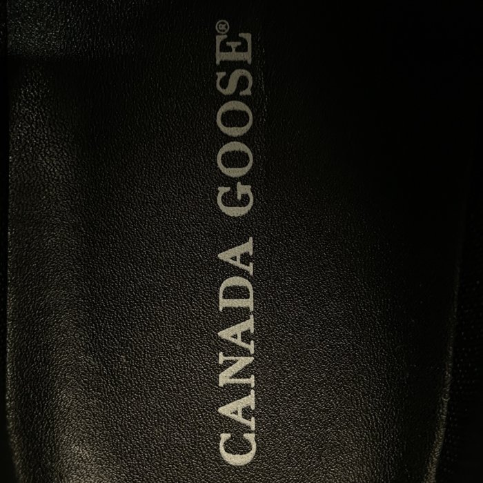 Sneakers Canada Goose Glacier Trail фото 8