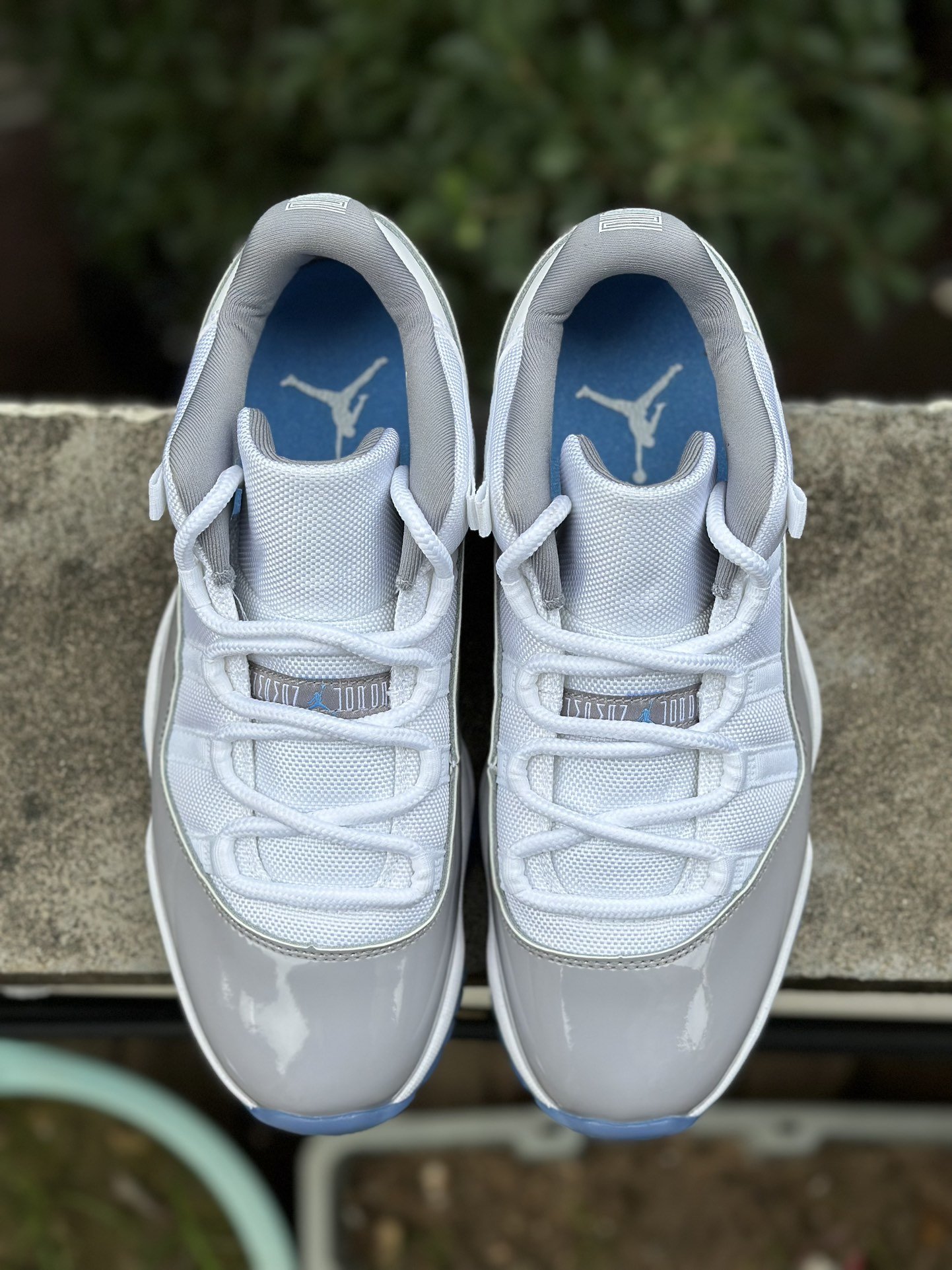 Jordan 11 store retro low tops