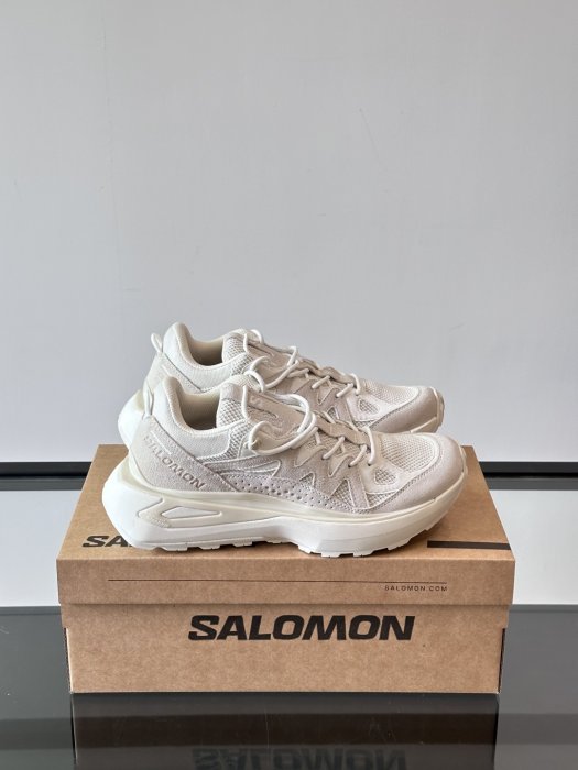 Кросівки Salomon Odyssey ELMT Low