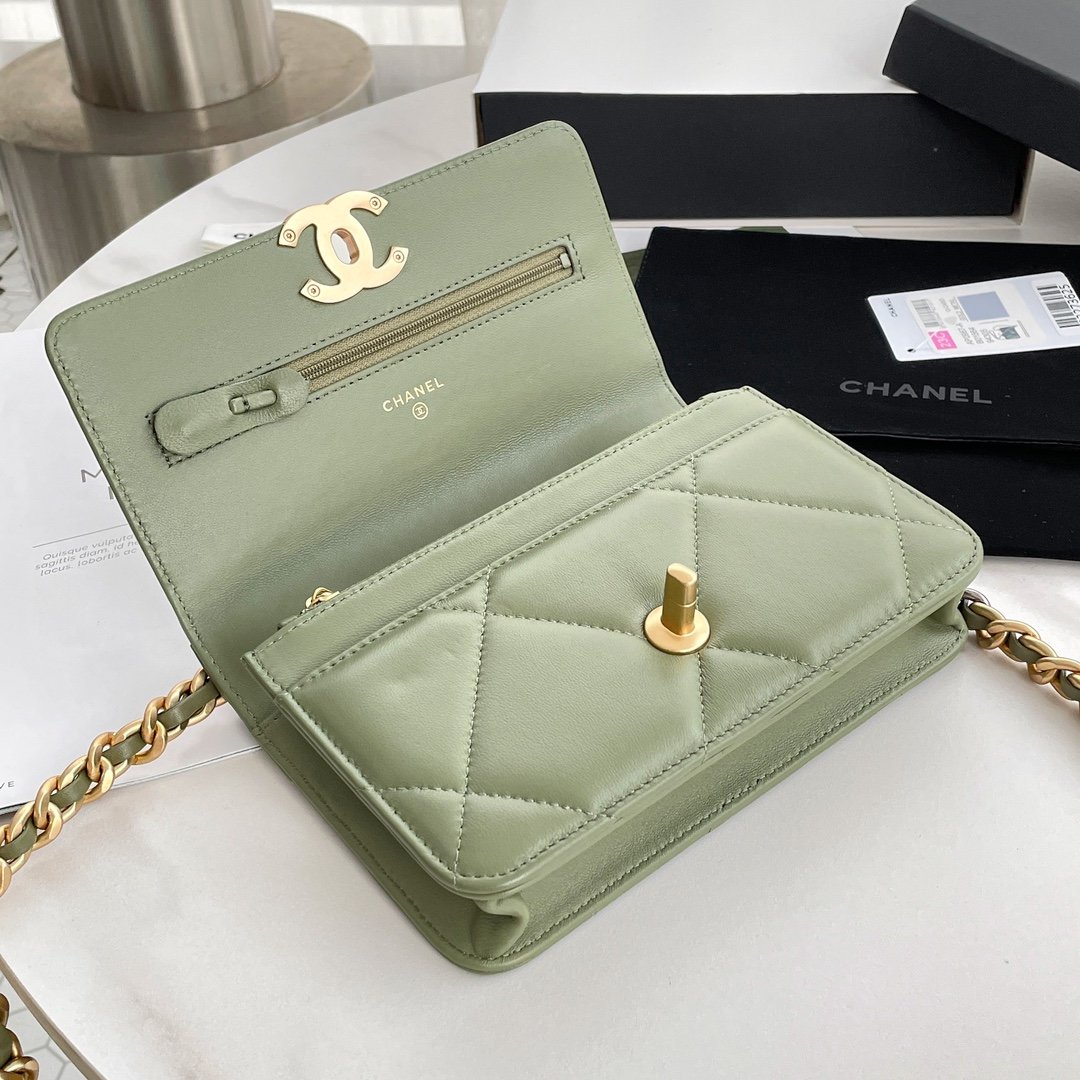 Сумка CHANEL 23 WOC 19.5 см фото 6