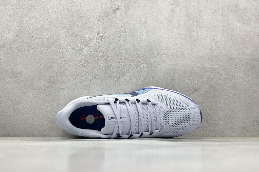 Кроссовки Air Zoom Pegasus 41 фото 3