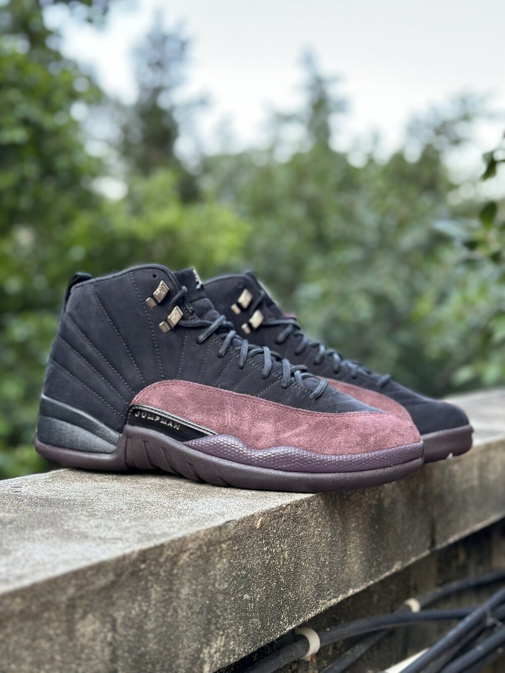 Women air jordan 12 hot sale retro