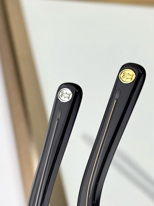 Окуляри сонцезахисні CT0538S фото 3