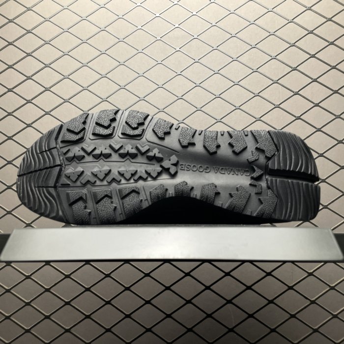 Sneakers Canada Goose Glacier Trail фото 5