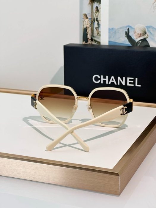 Spectacles sunscreen CH4024 фото 4