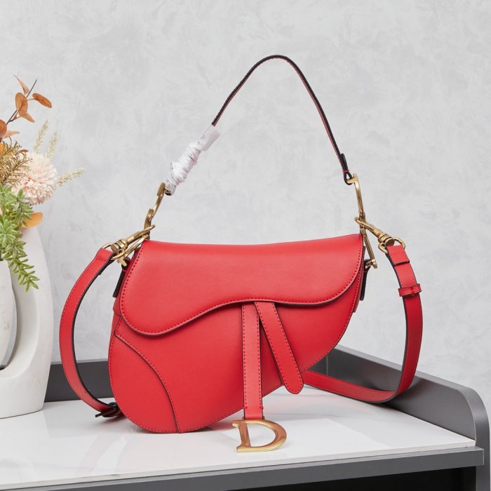Сумка кожаная женская Dior Saddle 24 см