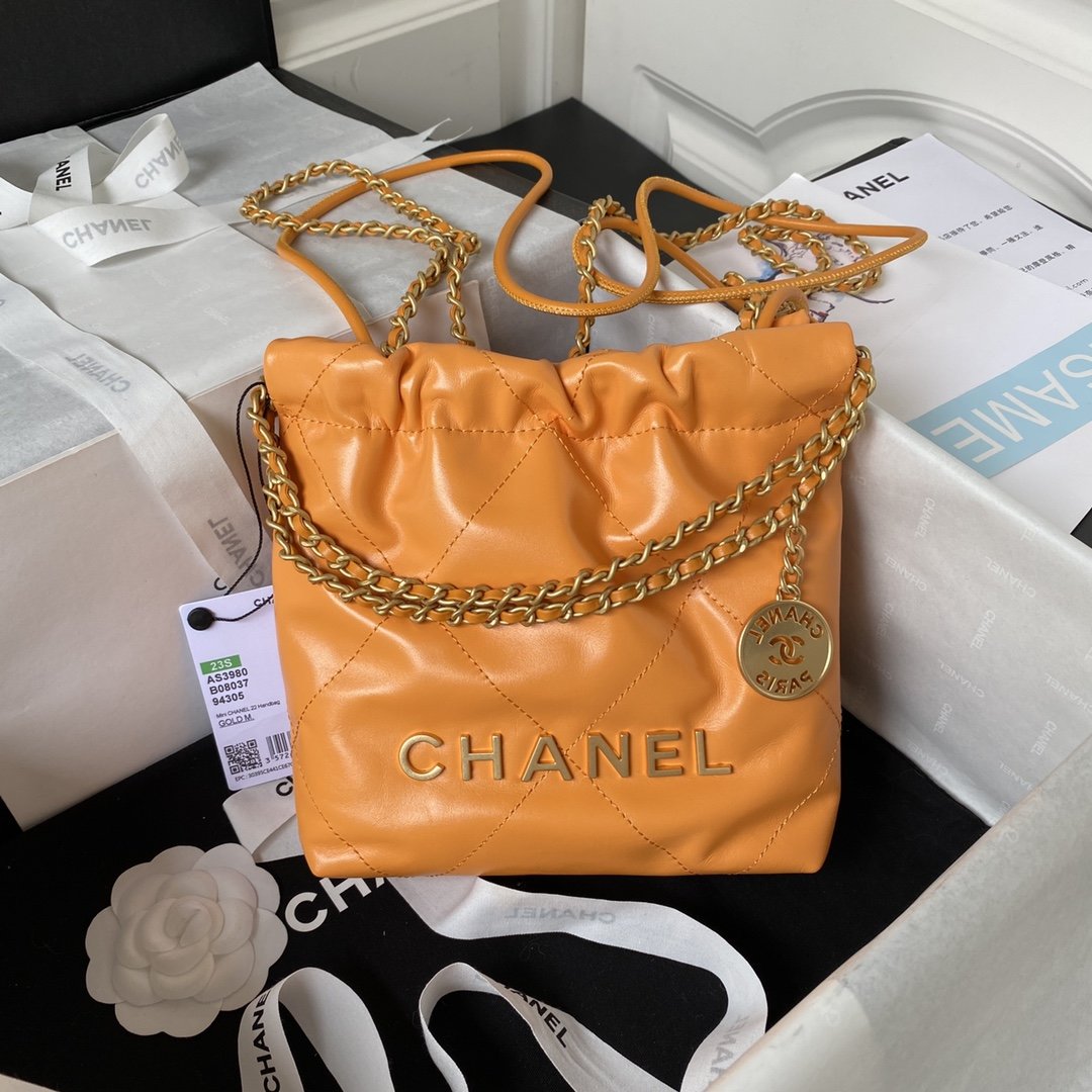 A bag CHANEL 22