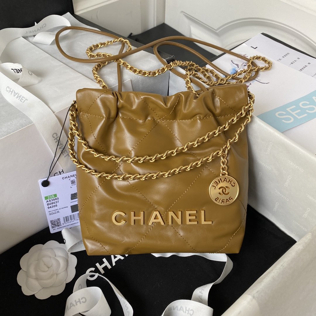 A bag CHANEL 22