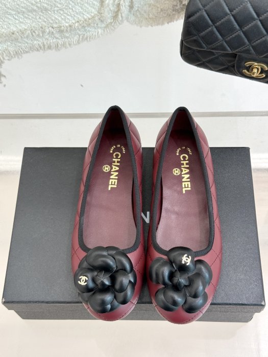 Балетки фото 4