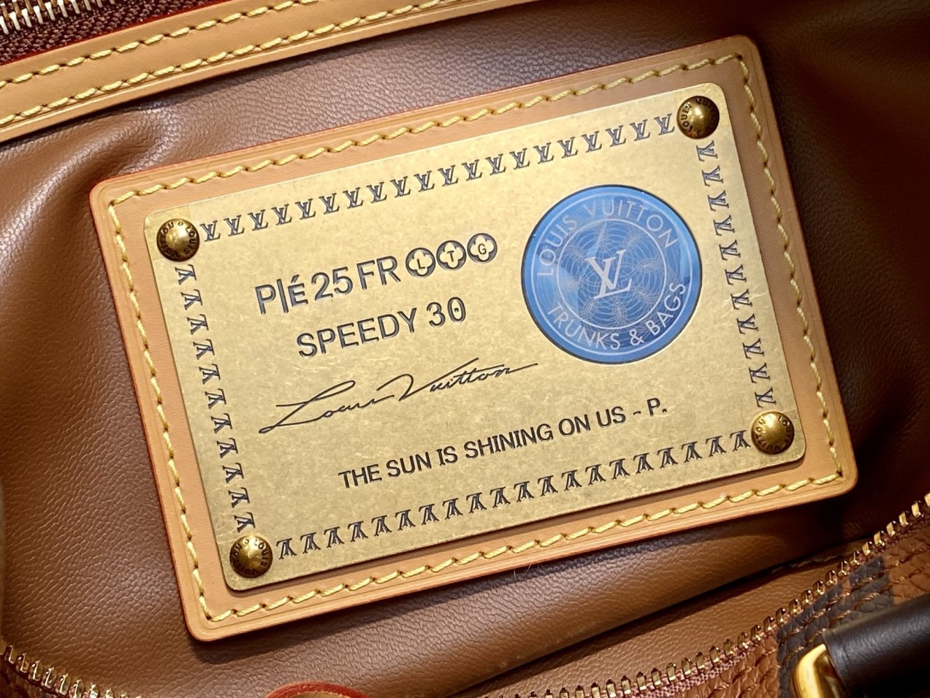 Кофейная полосатая сумка Speedy Pillow Bag 32 см фото 17