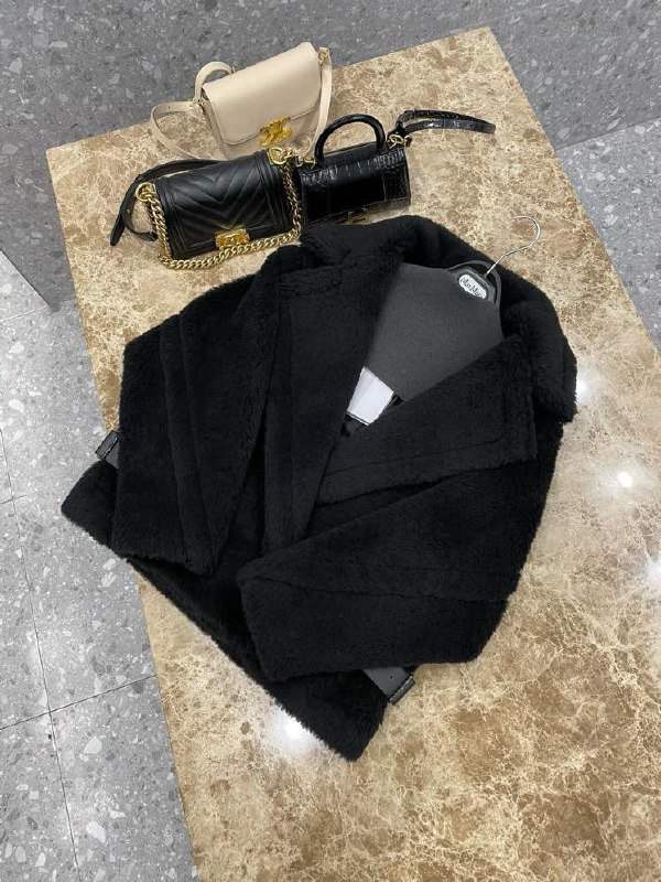 A short black coat Teddy Bear