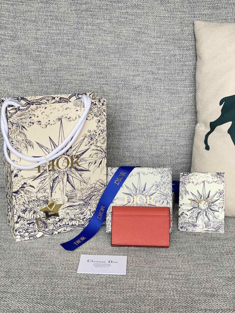 Purse Dior Saddle фото 2