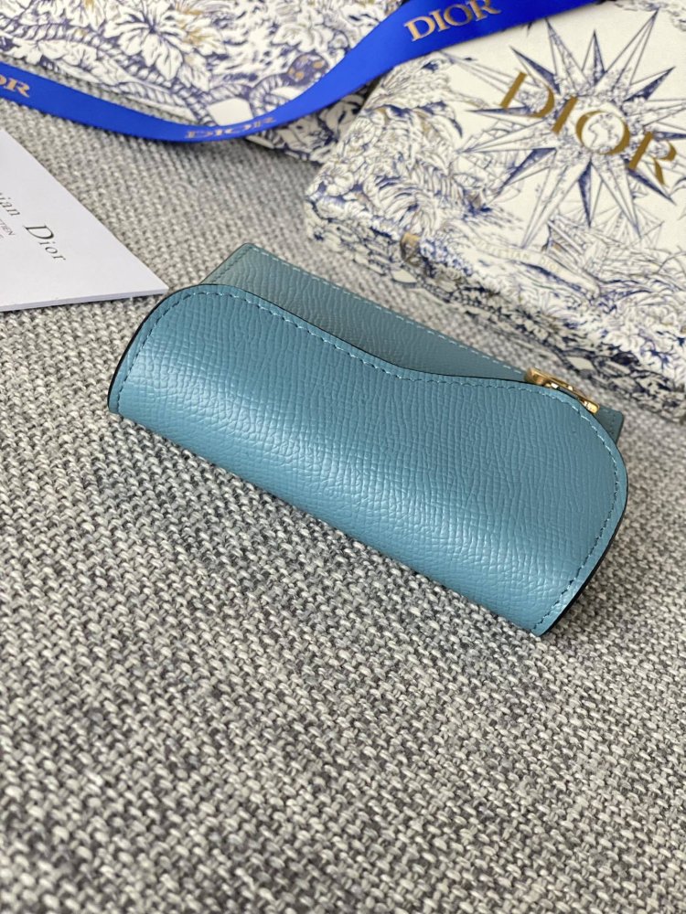 Purse Dior Saddle фото 6