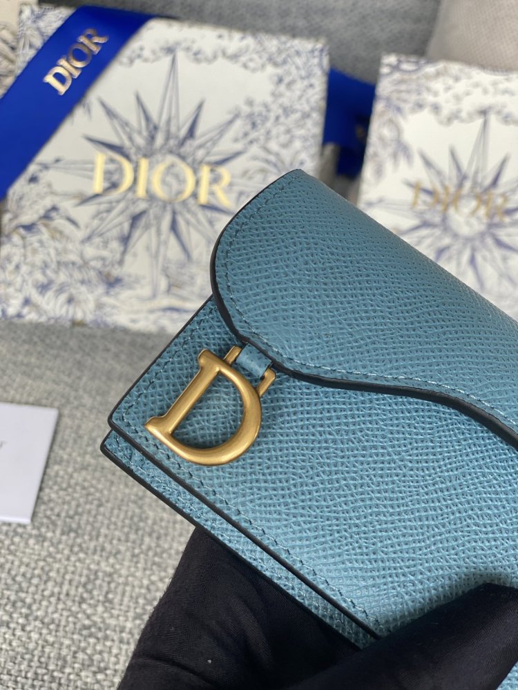 Purse Dior Saddle фото 6