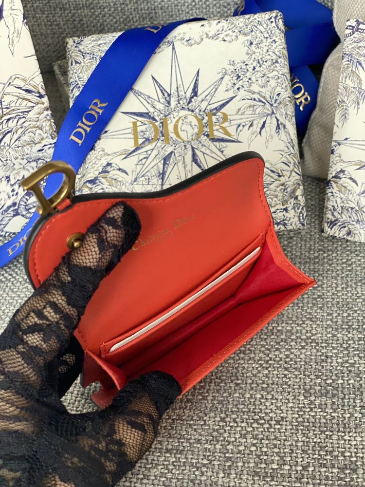 Purse Dior Saddle фото 9