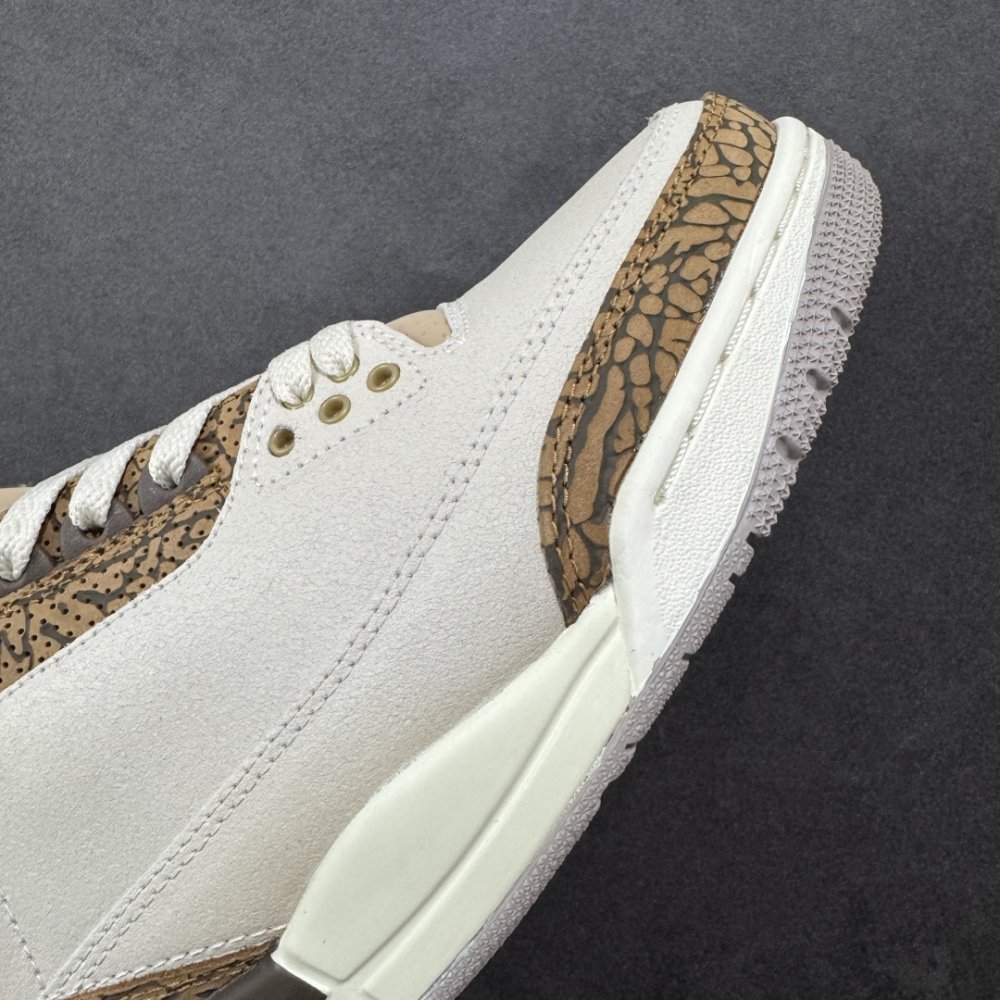 Кросівки Air Jordan 3 фото 5