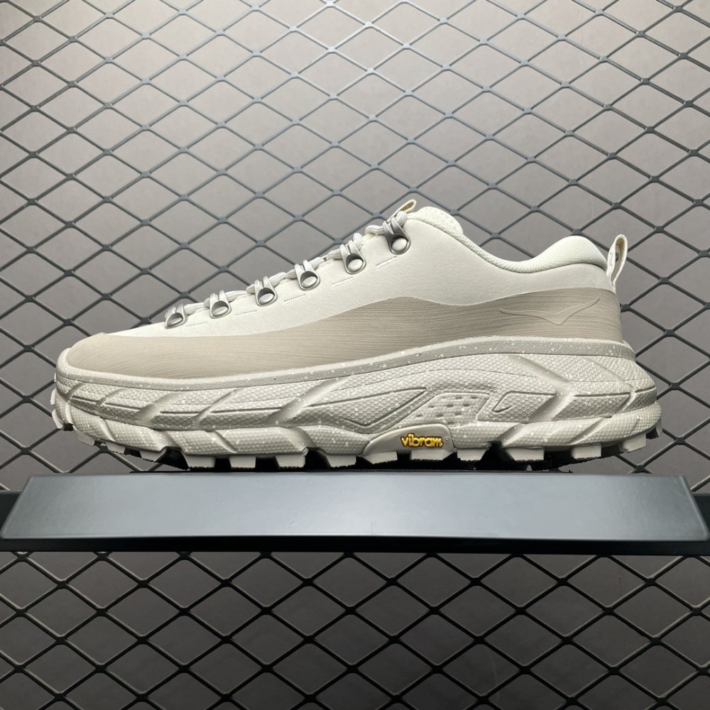 Кросівки Hoka One One Tor Summit