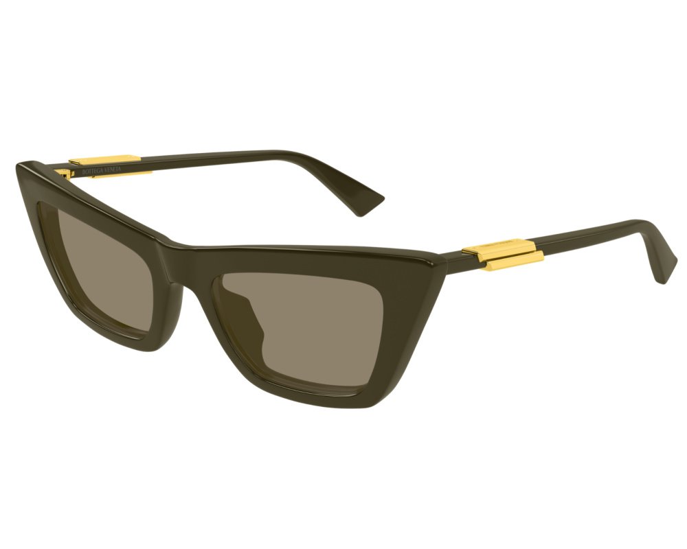 Spectacles sunscreen BV1466S