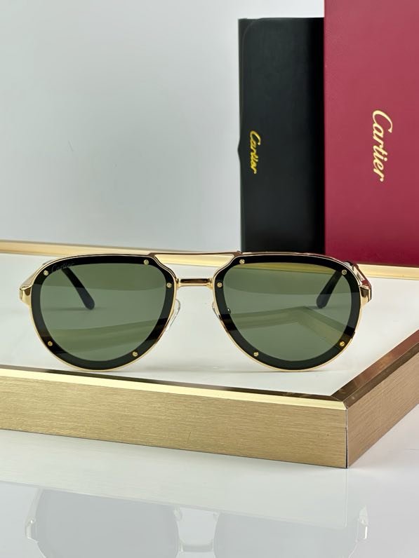 Очки солнцезащитные CT0195S