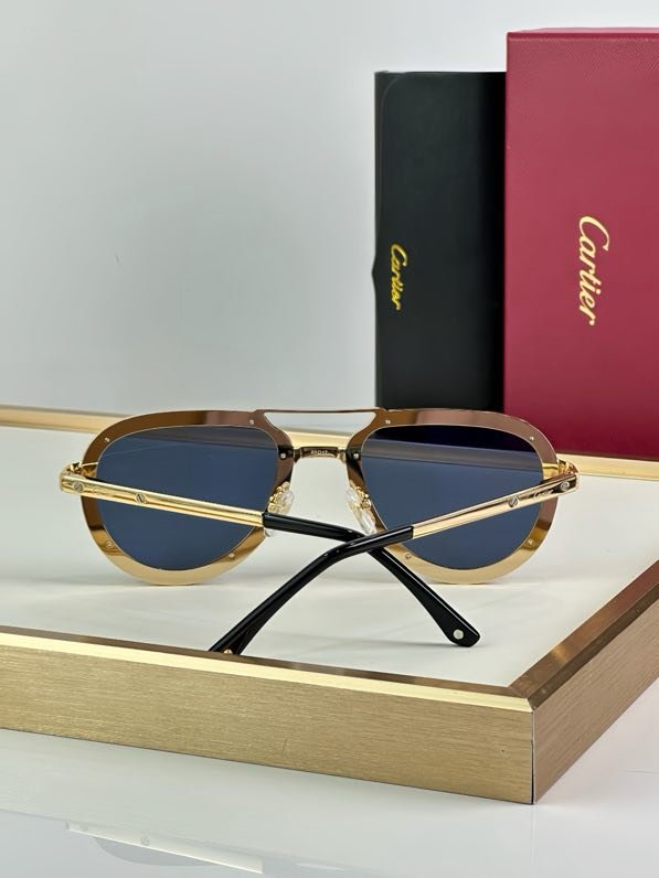 Очки солнцезащитные CT0195S фото 2