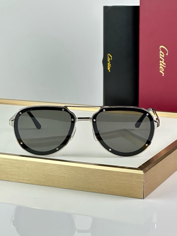 Очки солнцезащитные CT0195S фото 3