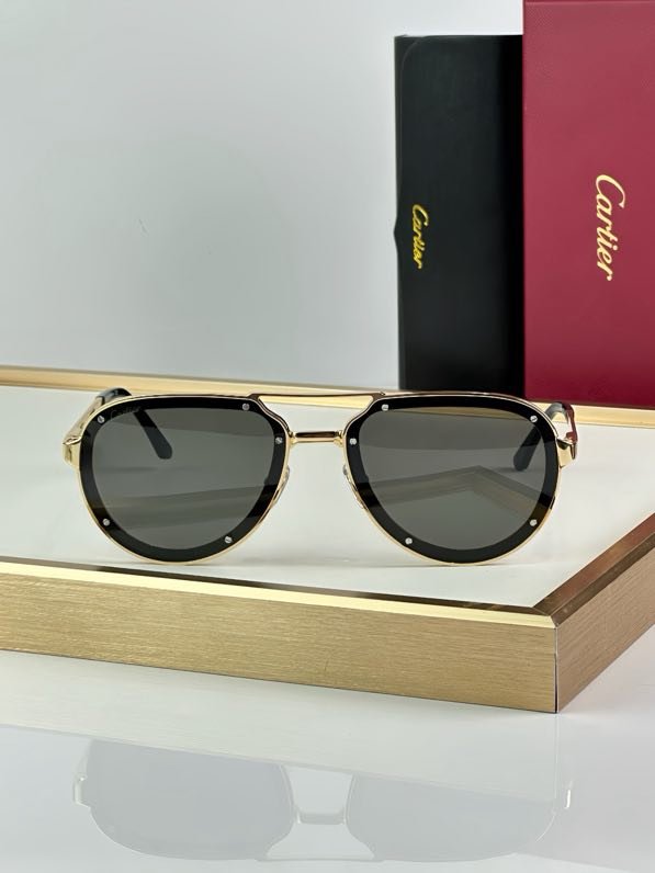 Очки солнцезащитные CT0195S фото 4