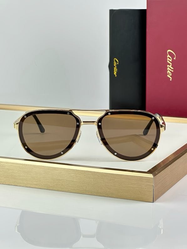 Очки солнцезащитные CT0195S фото 5