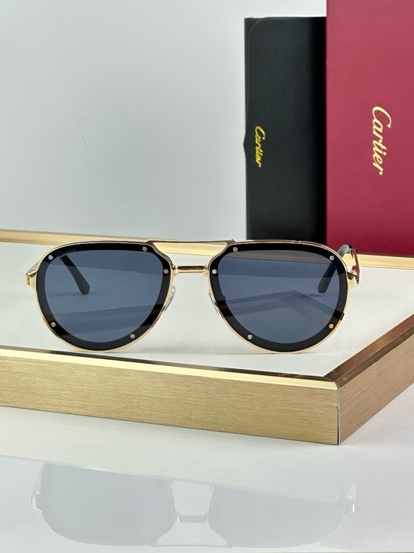 Очки солнцезащитные CT0195S фото 8