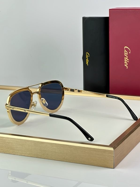 Очки солнцезащитные CT0195S фото 9