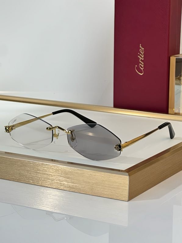 Очки солнцезащитные CT0433S