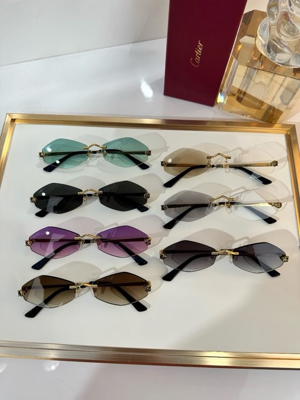 Очки солнцезащитные CT0433S фото 3