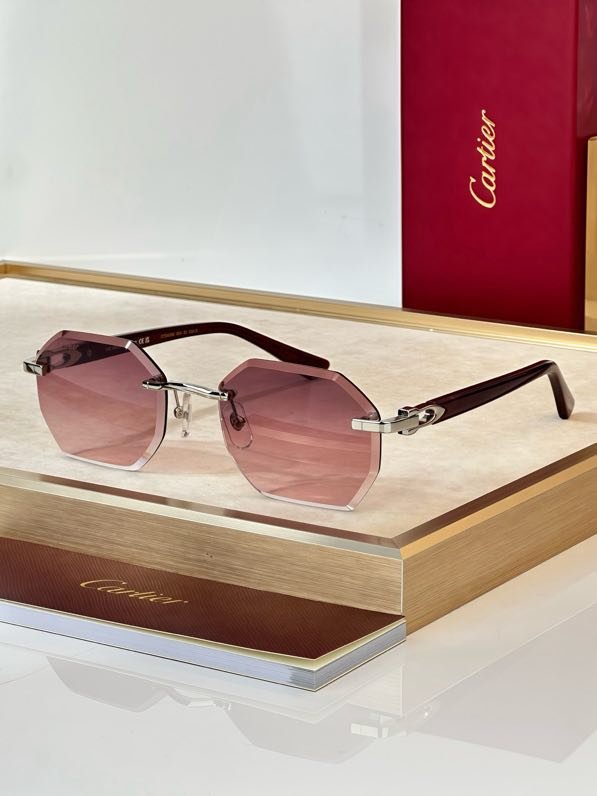 Окуляри сонцезахисні CT0439S