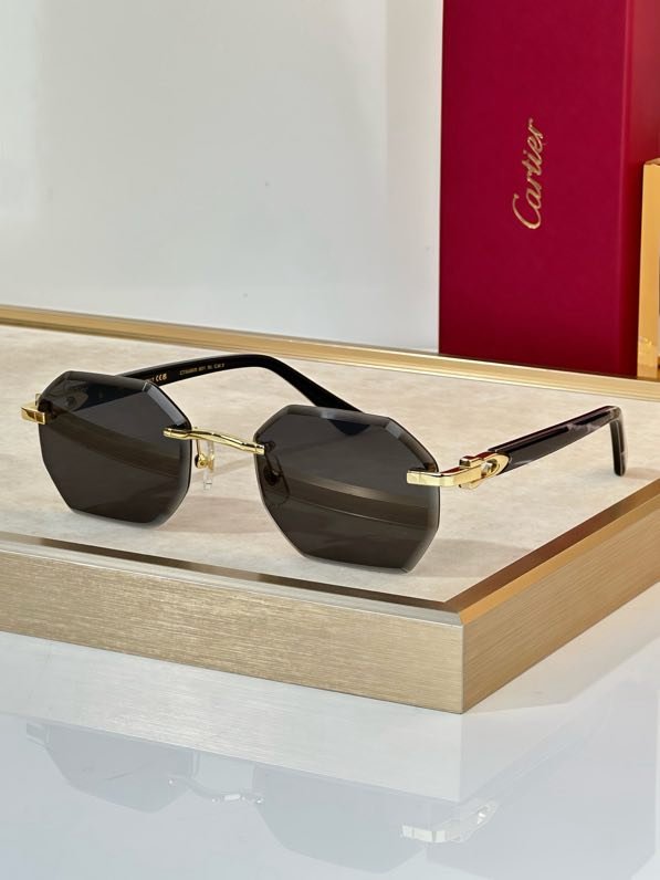 Очки солнцезащитные CT0439S