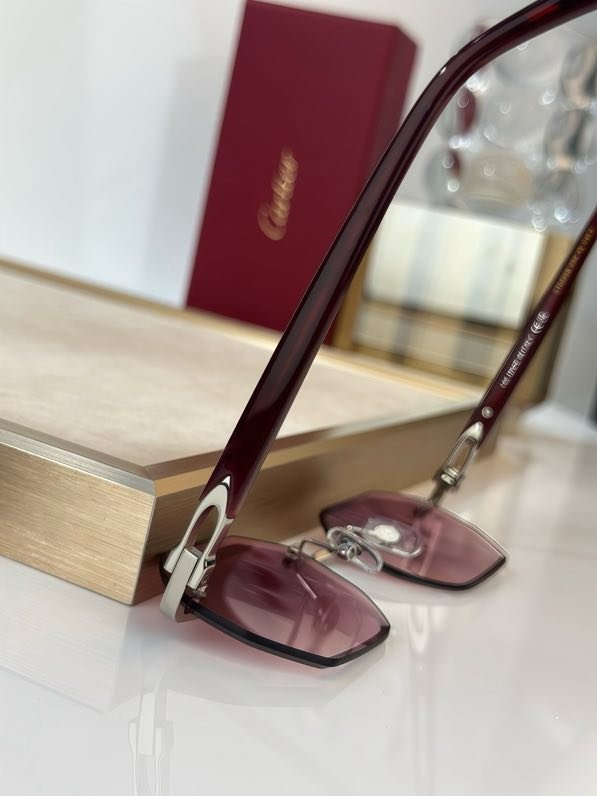 Окуляри сонцезахисні CT0439S фото 2