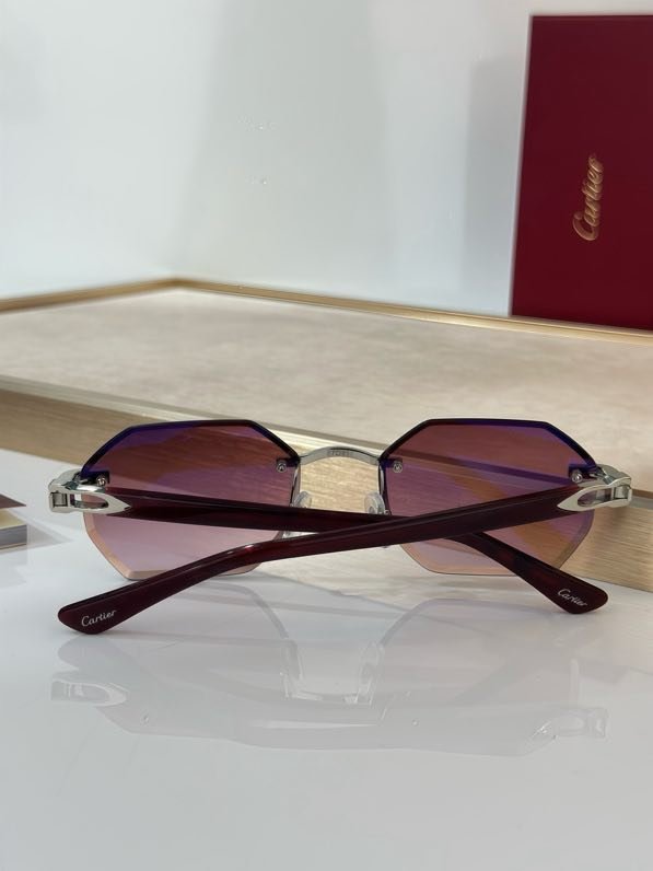 Окуляри сонцезахисні CT0439S фото 5