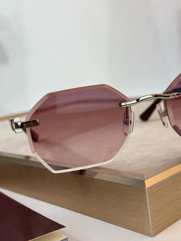 Окуляри сонцезахисні CT0439S фото 6