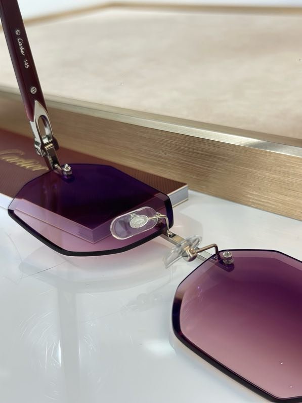 Окуляри сонцезахисні CT0439S фото 7