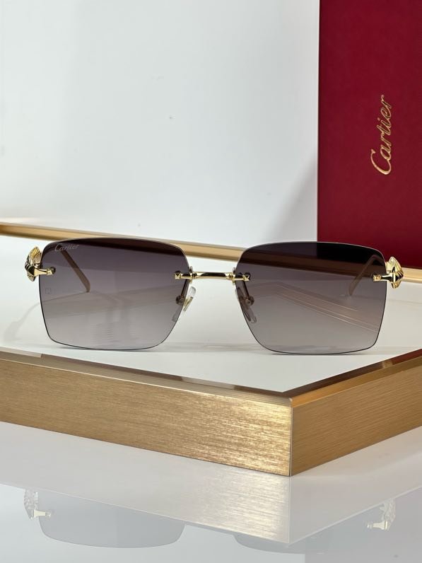 Окуляри сонцезахисні CT0545S