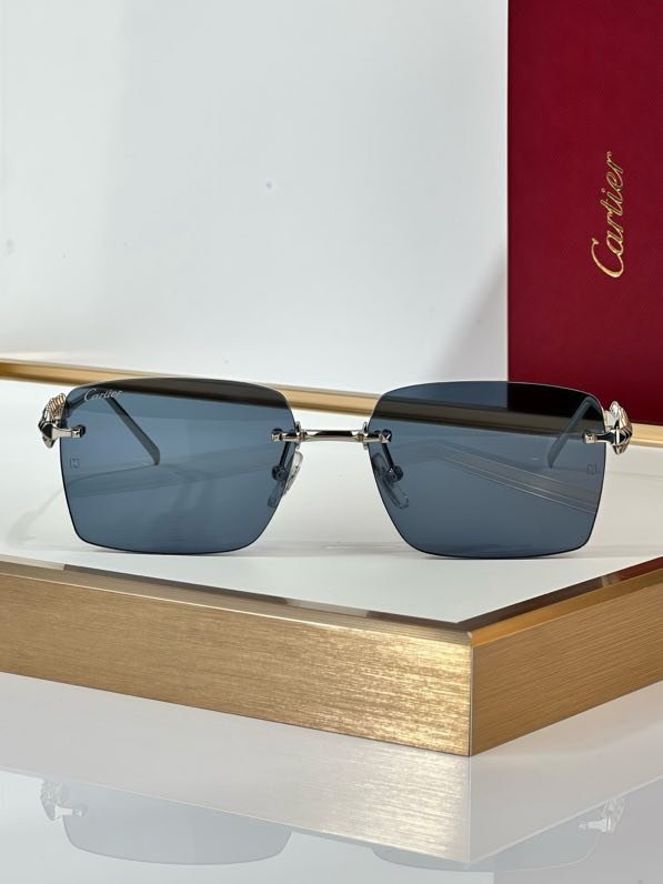 Окуляри сонцезахисні CT0545S фото 2