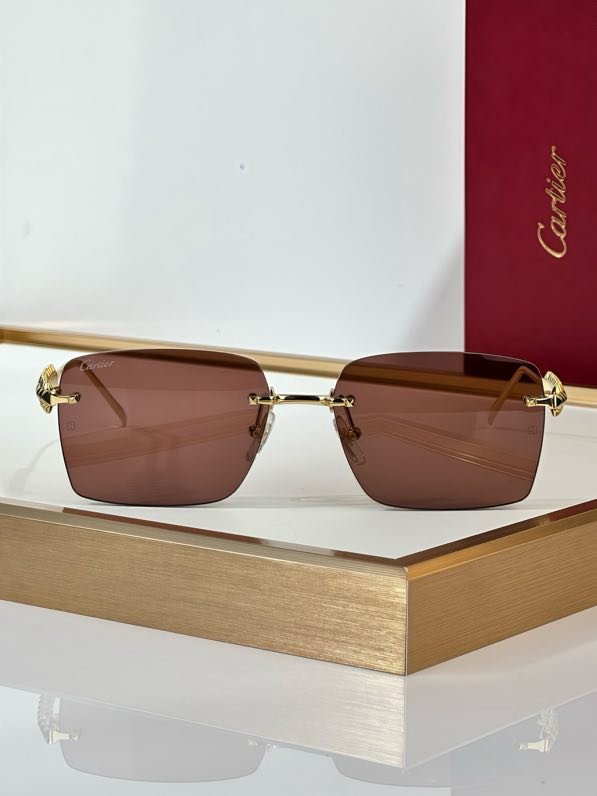 Окуляри сонцезахисні CT0545S фото 3