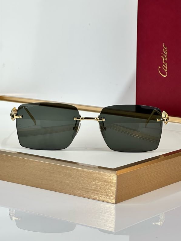 Окуляри сонцезахисні CT0545S фото 4