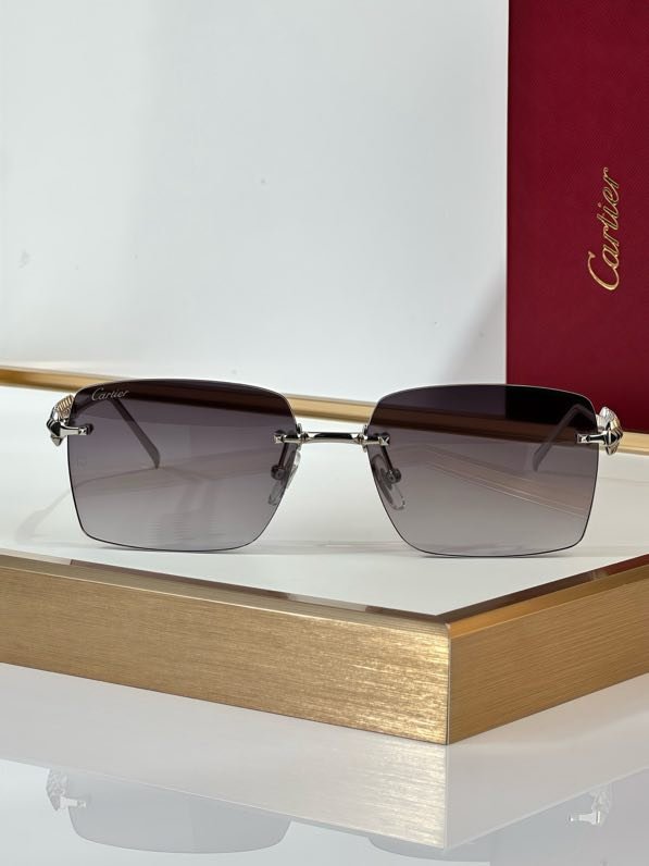 Окуляри сонцезахисні CT0545S фото 5