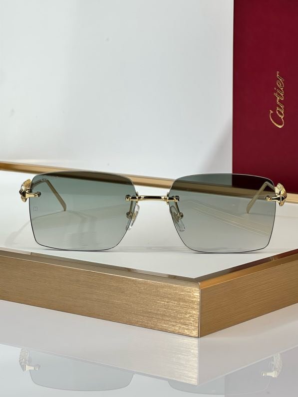 Окуляри сонцезахисні CT0545S фото 6